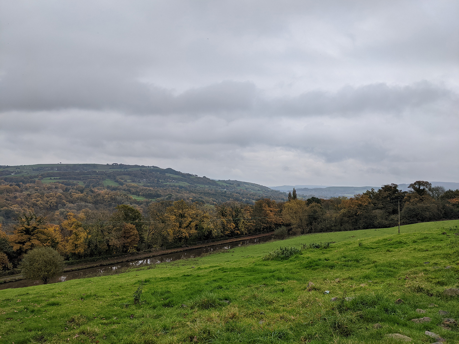 Google Pixel 5 camera sample
