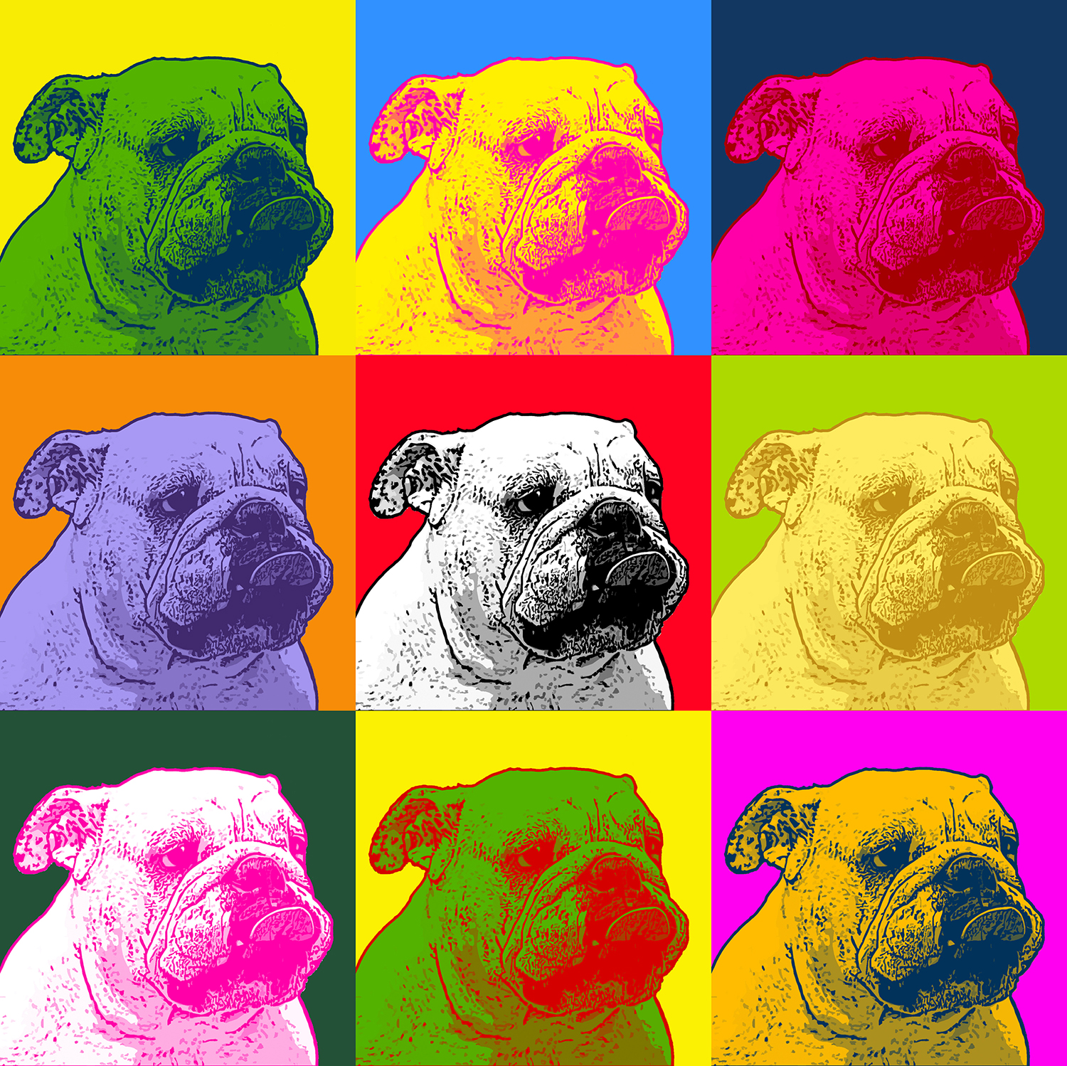 pop art of your pets