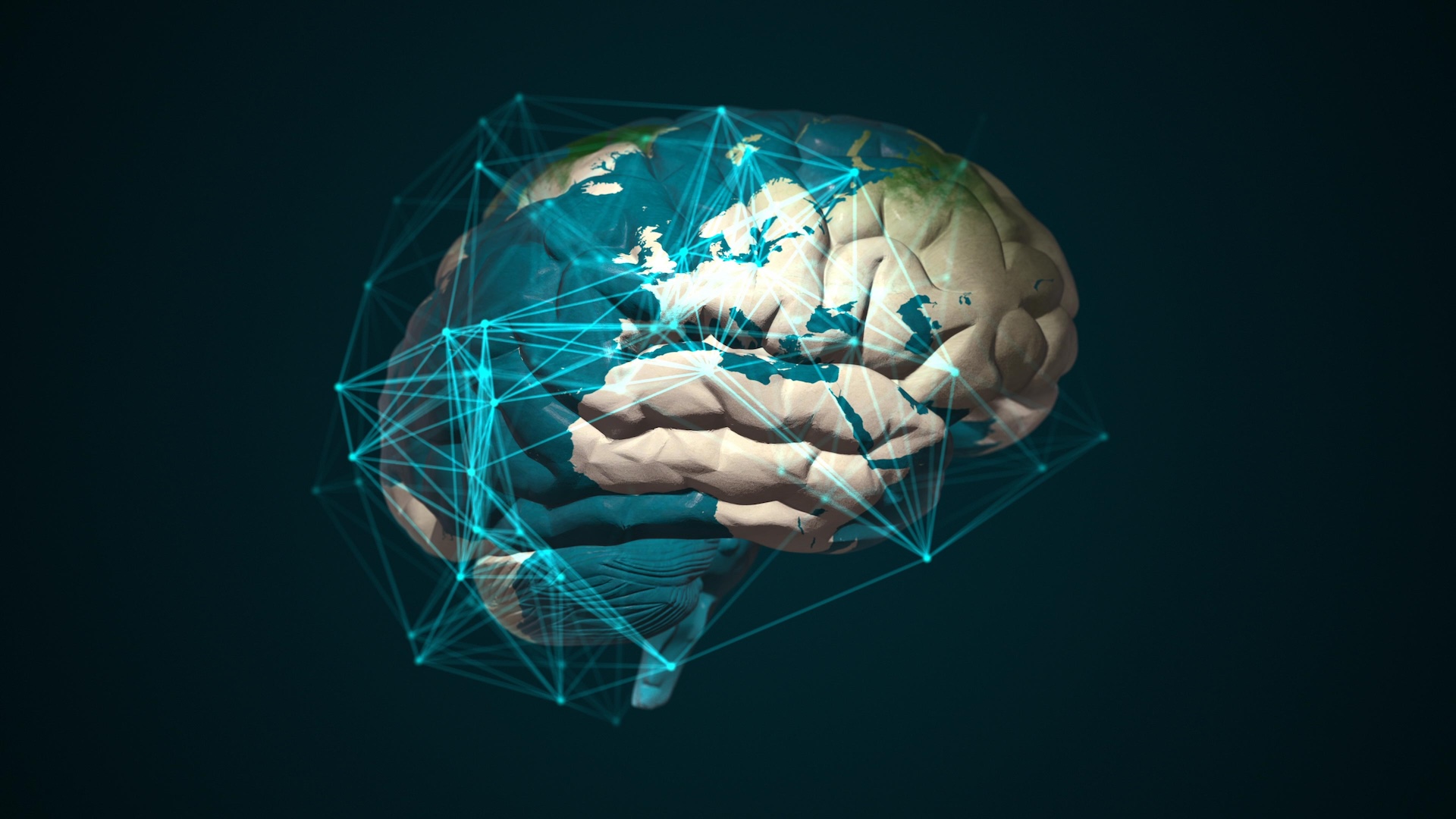 an illustration of the brain with a map superimposed on it