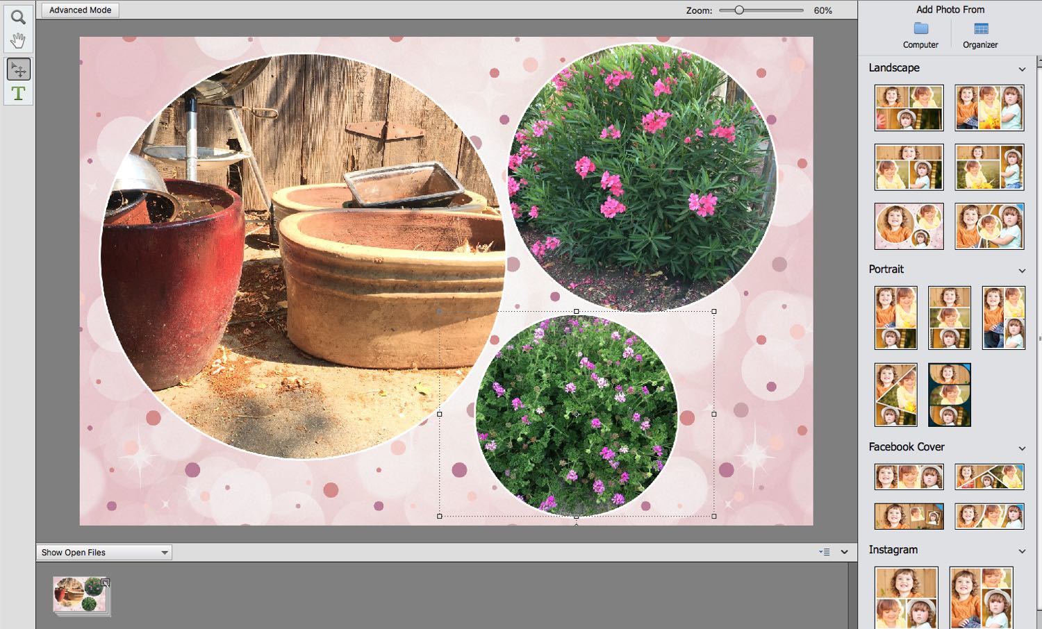 Text and border overlays add a sophisticated annotation to your images.