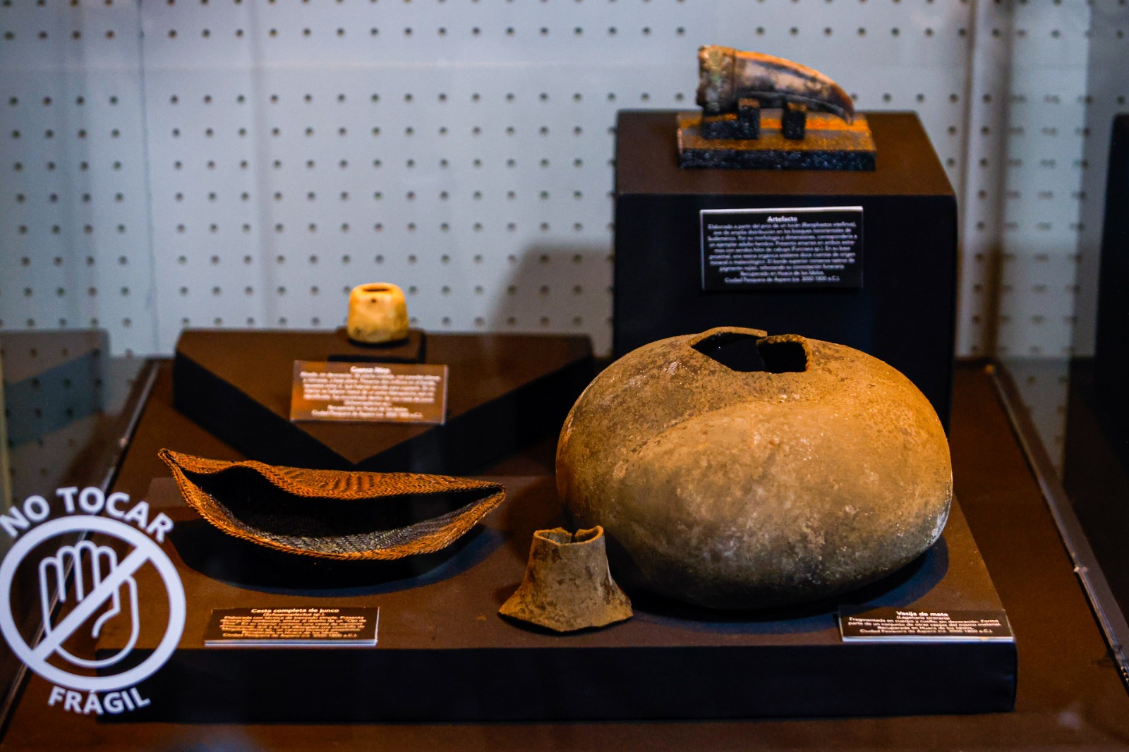 a picture of some of the artifacts in the woman's grave displayed in a museum