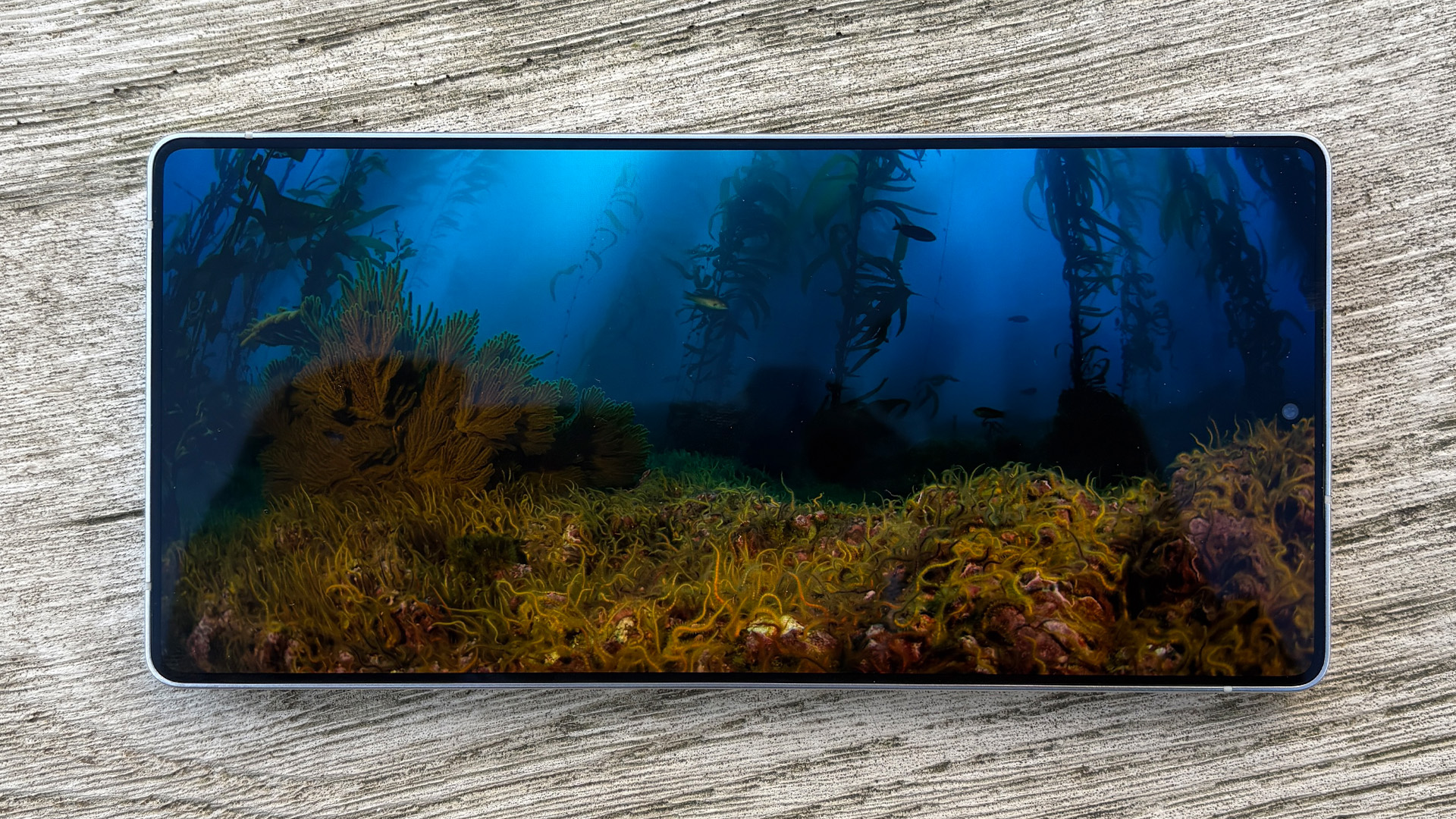 Samsung Galaxy S25 Ultra smartphone showing a still from a film. It appears to be a woodland scene with a moody blue sky.