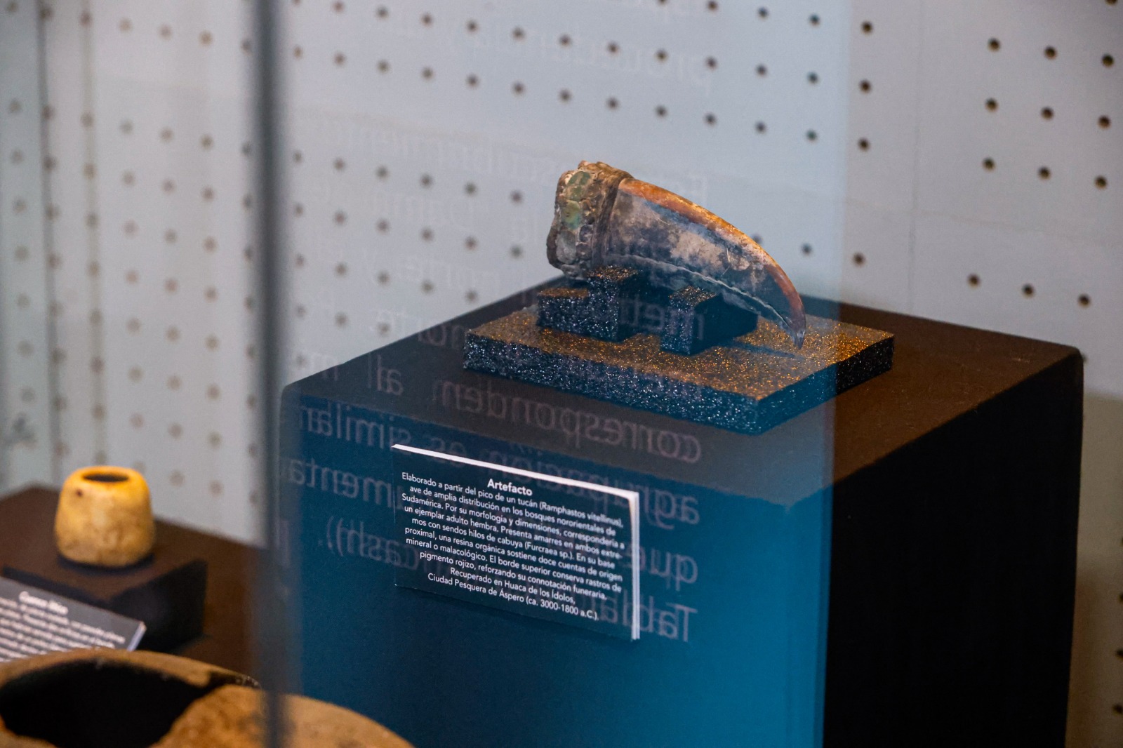 a picture of one of the artifacts in the woman's grave displayed in a museum