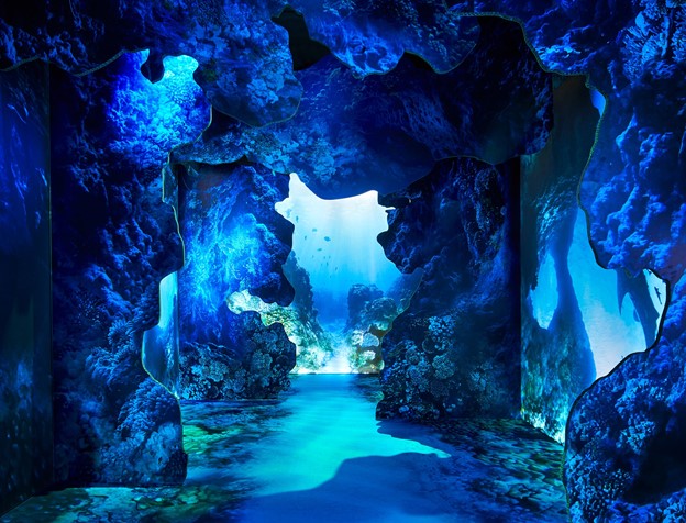 InfoComm, Arcadia Earth