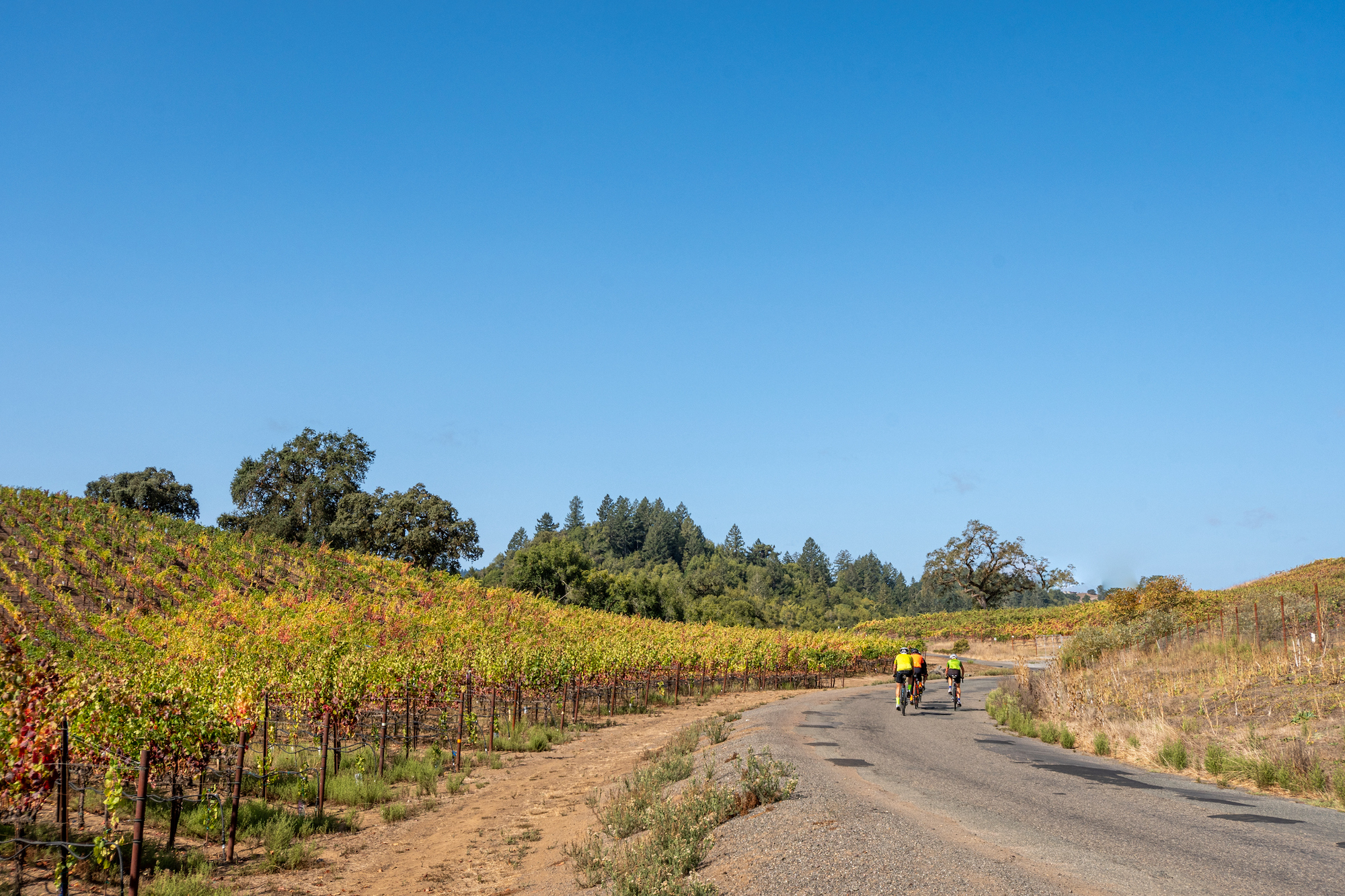 A road in Sonoma, California