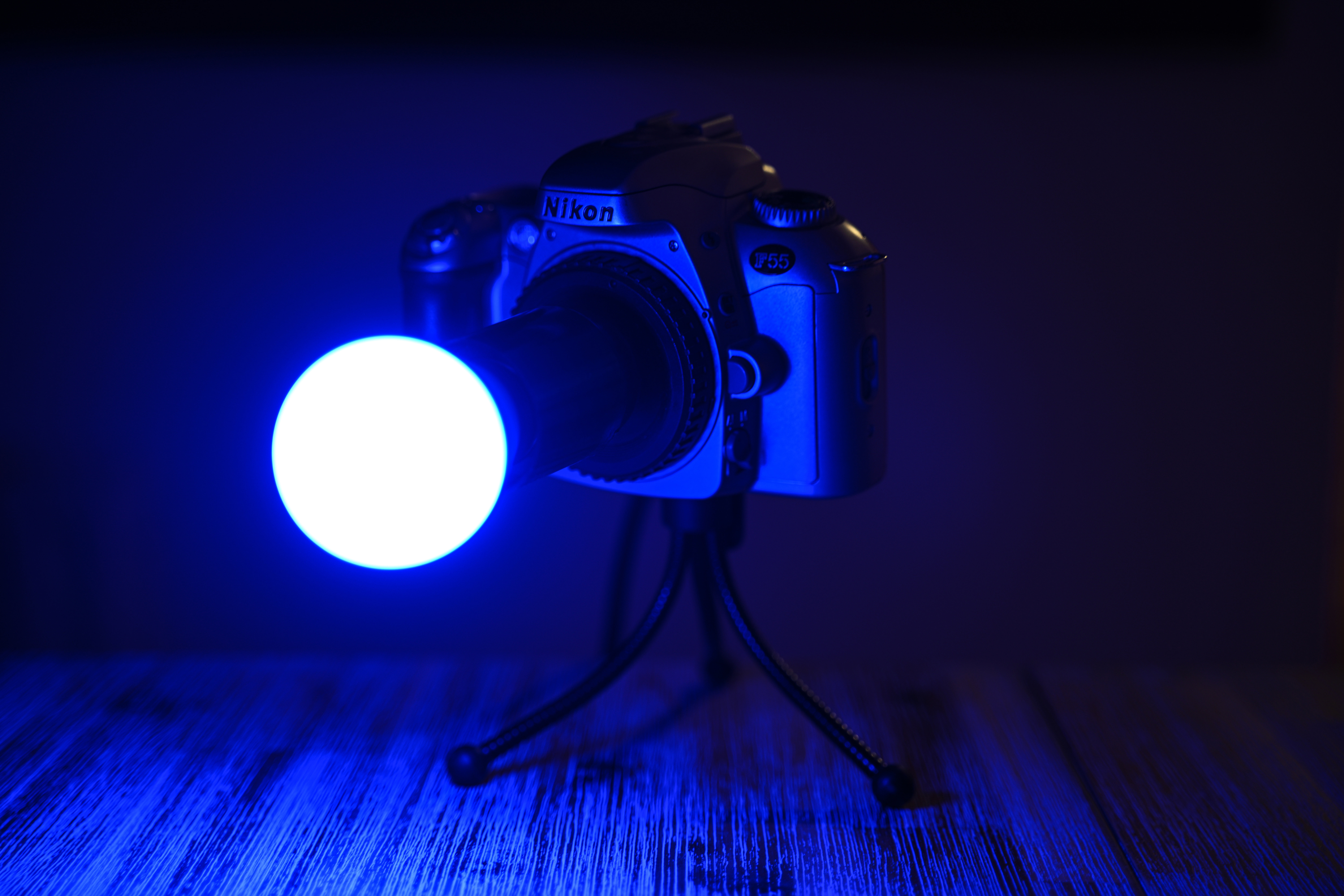 Nikon Z9 sample