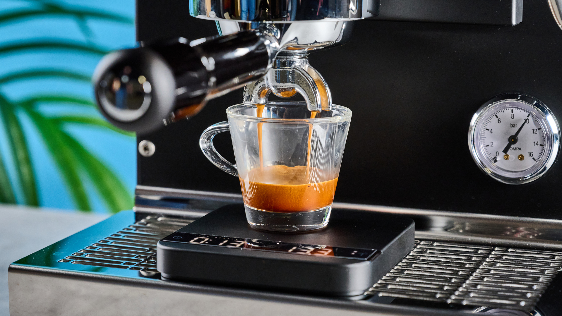 The Diletta Mio espresso machine pouring espresso