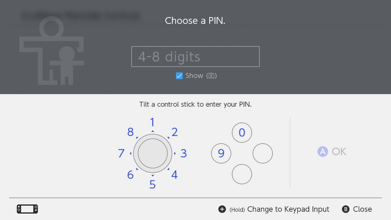 Switch Parental Controls Pin
