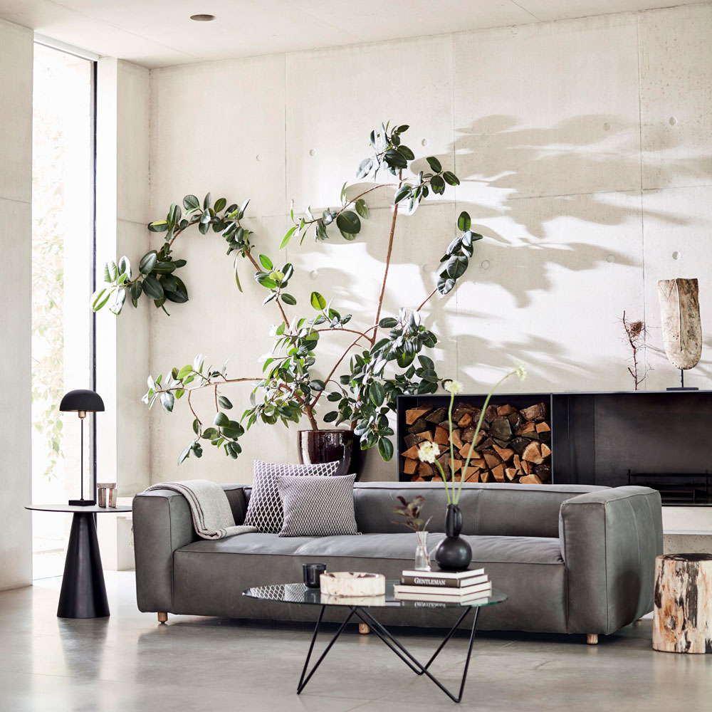 A living room with a grey sofa, white walls and a large house plant