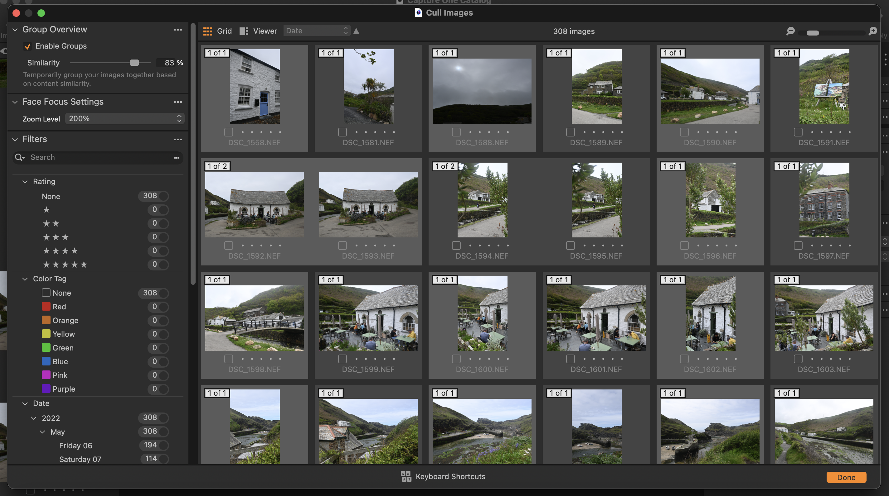 A screenshot from photo editing software Capture One Pro