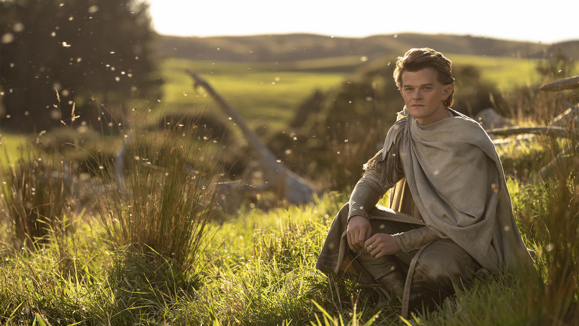 Robert Aramayo's Elrond squats down in a field in The Rings of Power on Prime Video