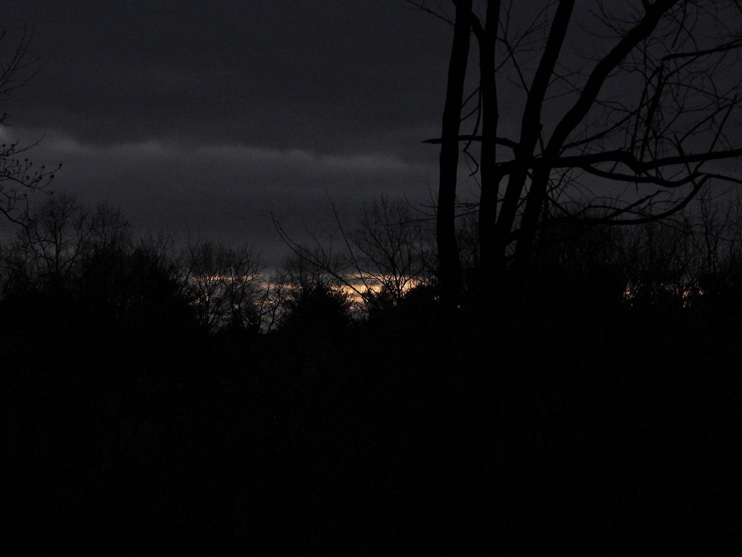 f/4.0, 1/800 sec., ISO 800