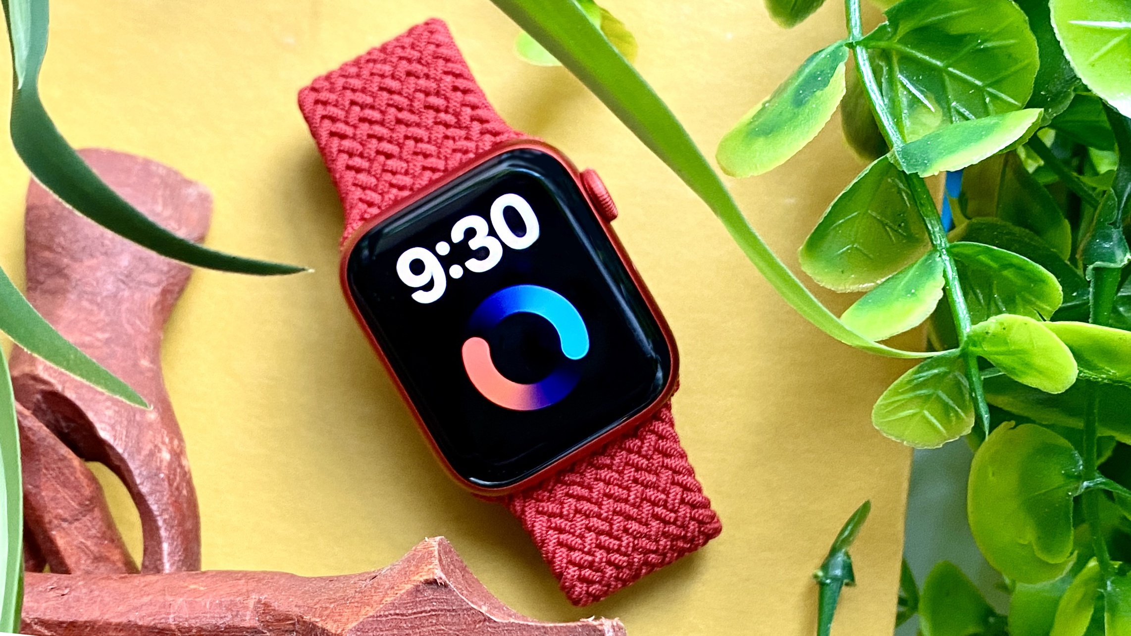 Apple Watch blood oxygen app