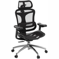 Sihoo Doro C300: $359 $239 at AmazonSave $120: