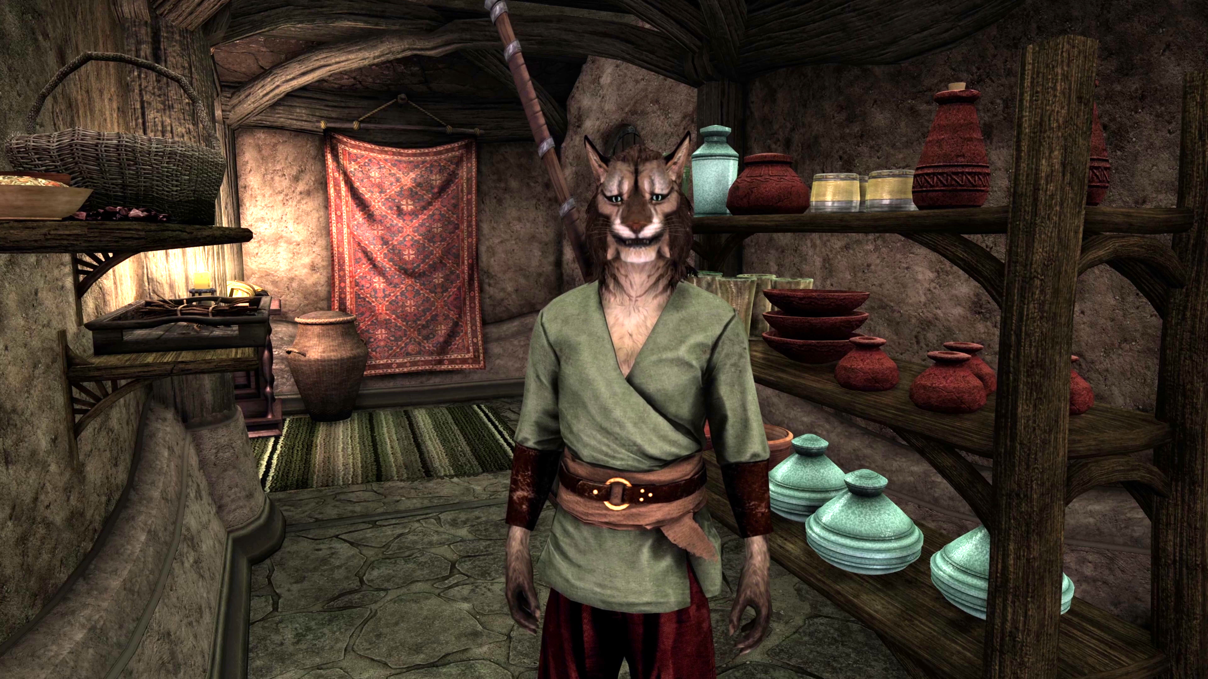A khajiit character in Morrowind in a house