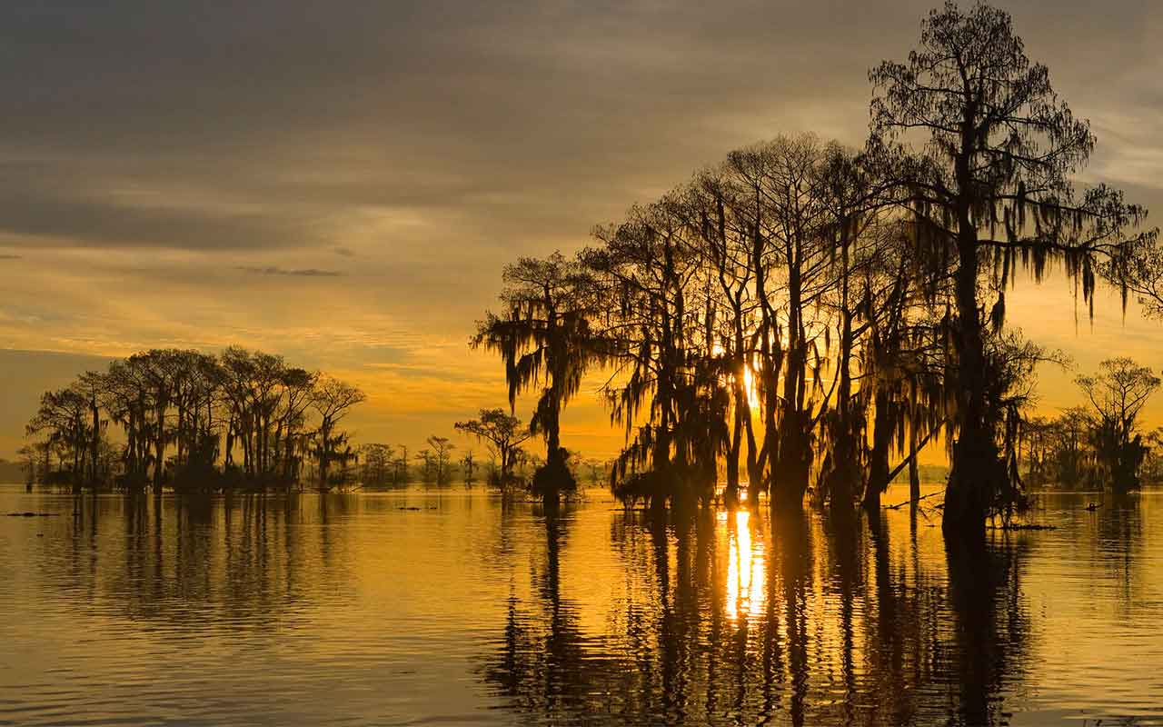 Lafayette, La.