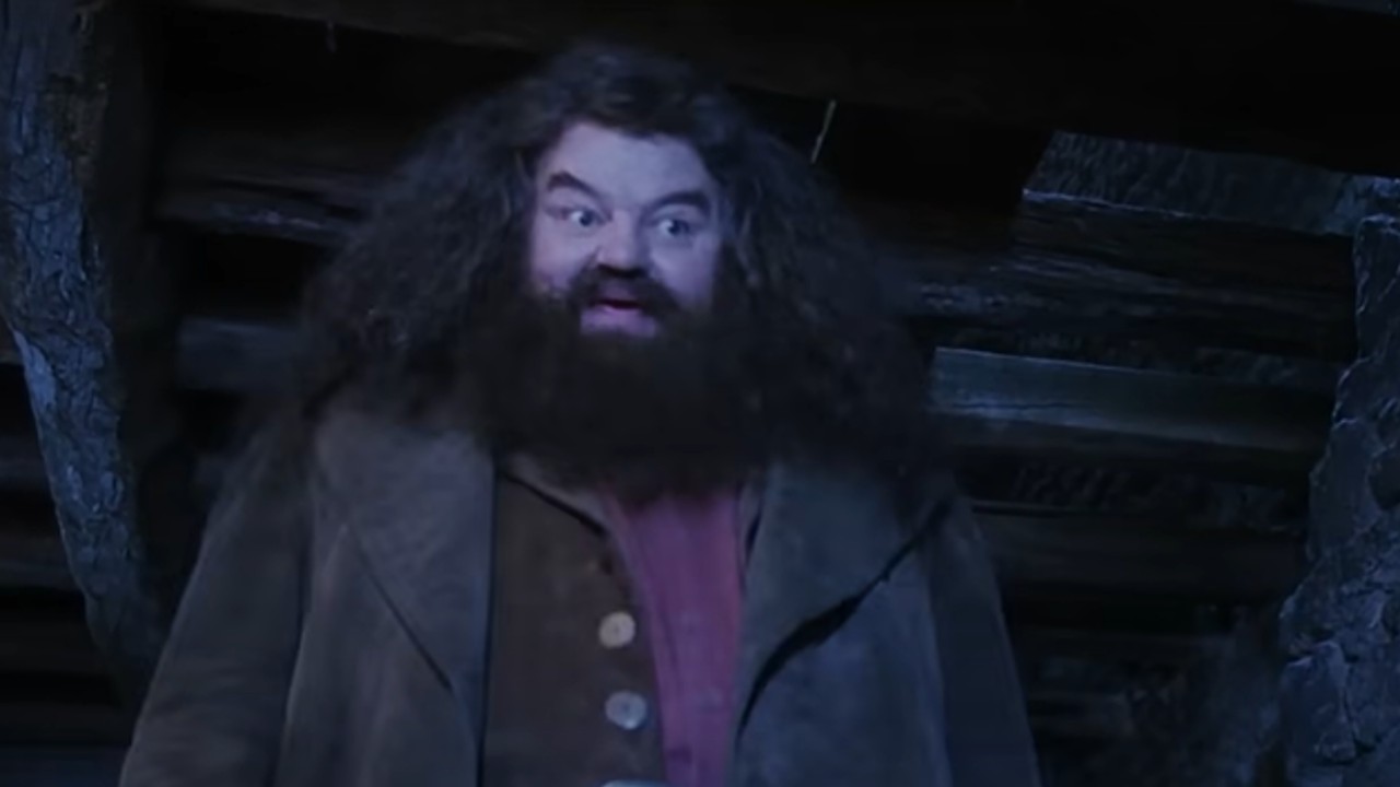 Hagrid coming to get Harry in Sorcerer&#039;s Stone.