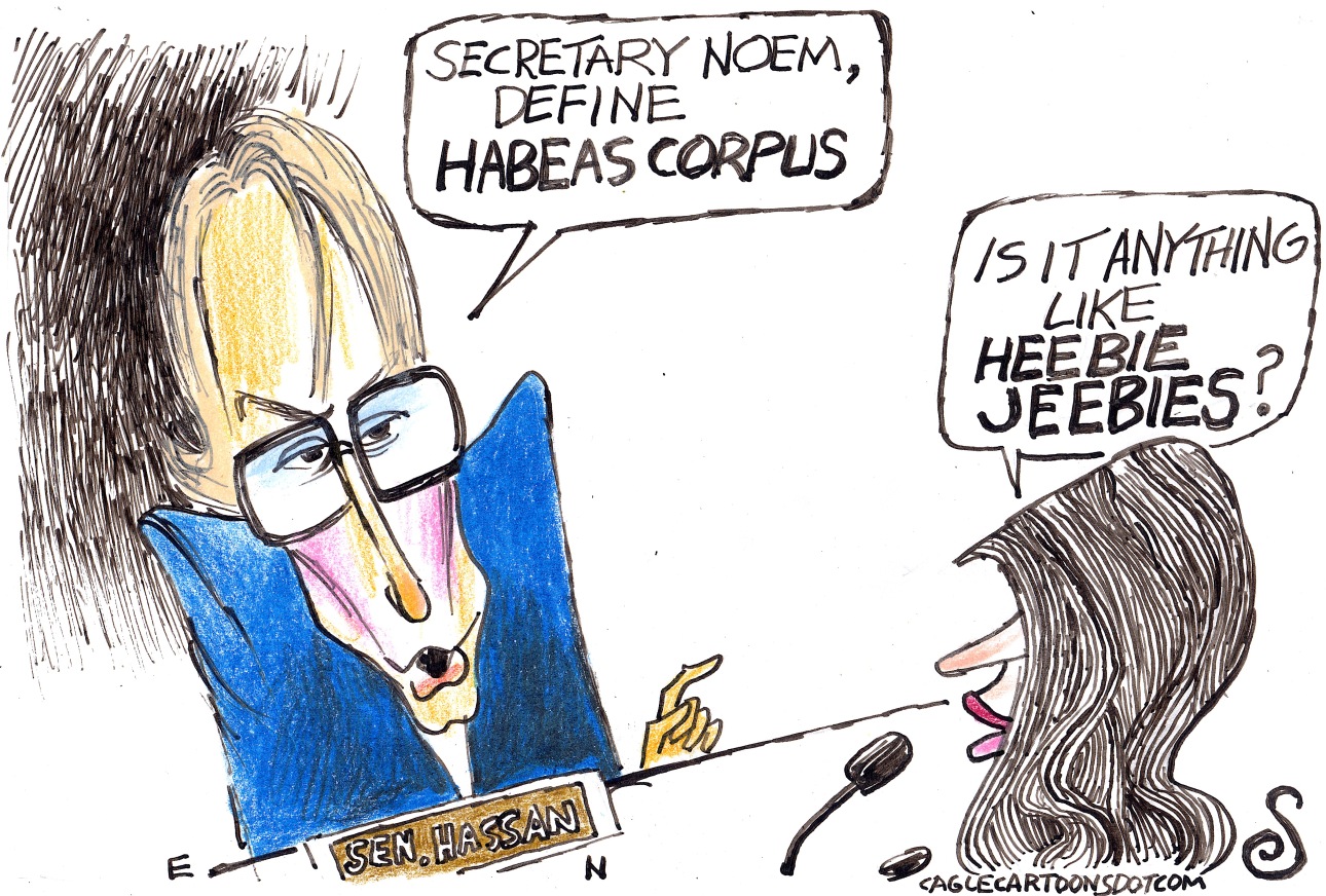 This political cartoon takes place in a Senate hearing room. A figure, labeled "SEN. HASSAN" leans forward and asks, "SECRETARY NOEM, DEFINE HABEAS CORPUS." Kristi Noem, with long dark hair, replies, "IS IT ANYTHING LIKE HEEBIE JEEBIES?"