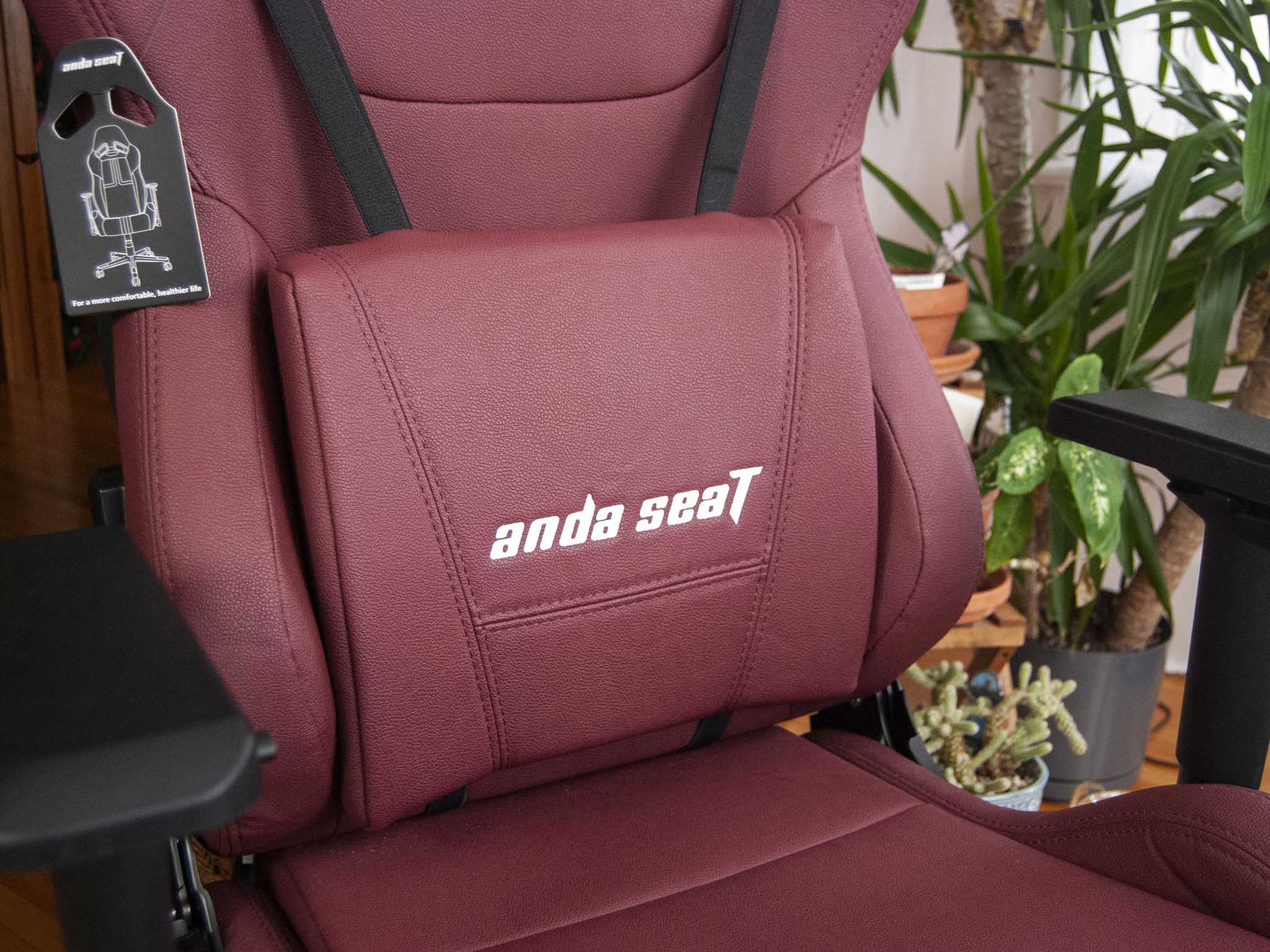 Anda Seat Kaiser 2