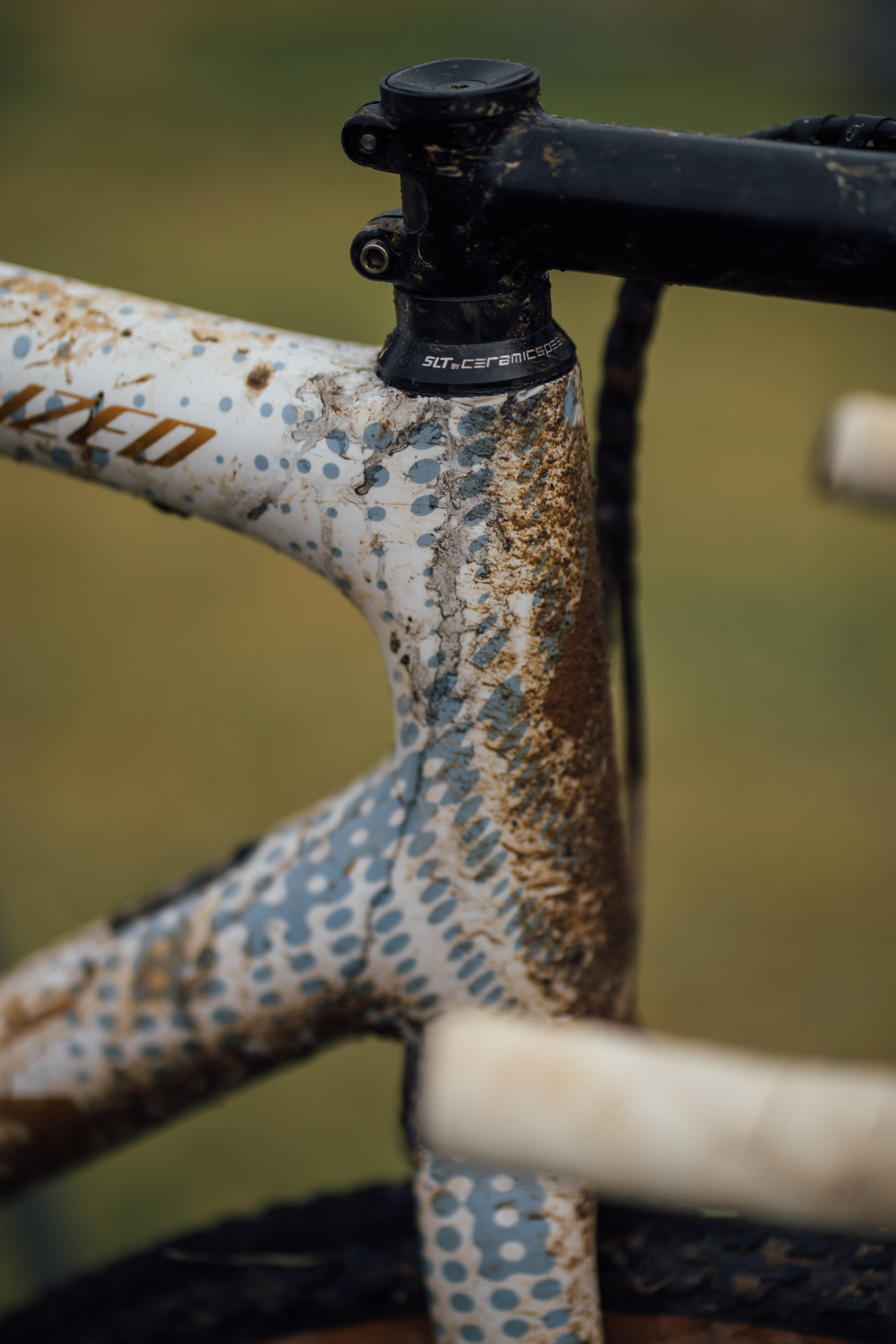 Traka podium bikes