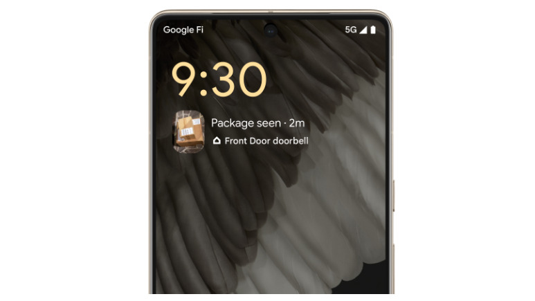 At a Glance widget showing a package from a Nest video camera