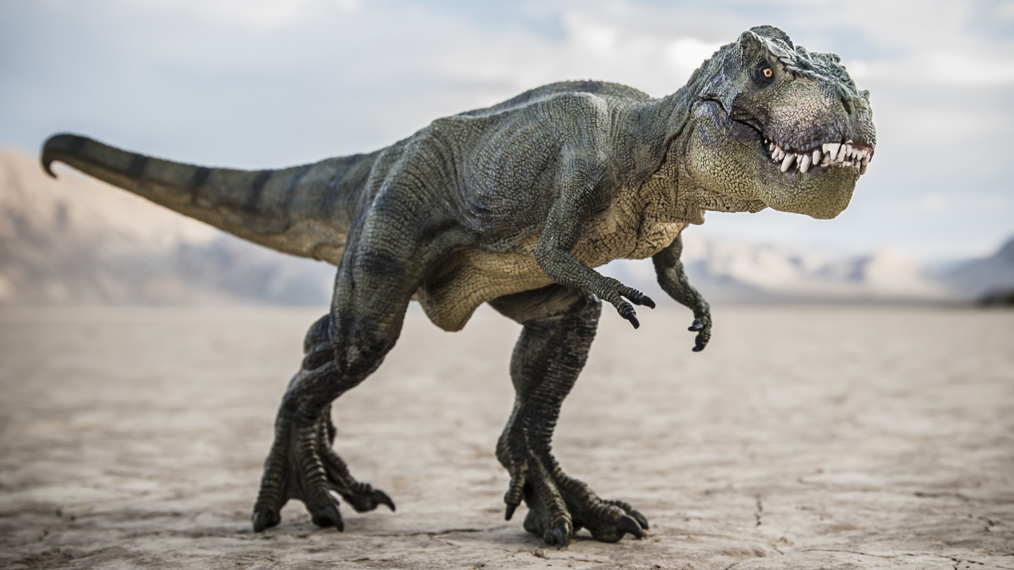Illustration of a T. rex in a desert-like landscape.