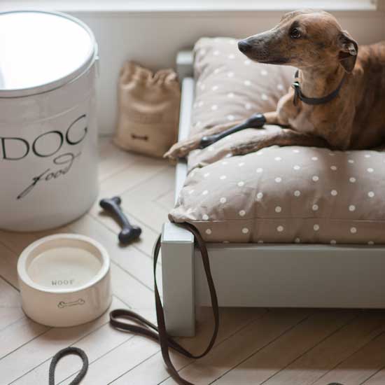 dog grooming ideas to keep your house tip top