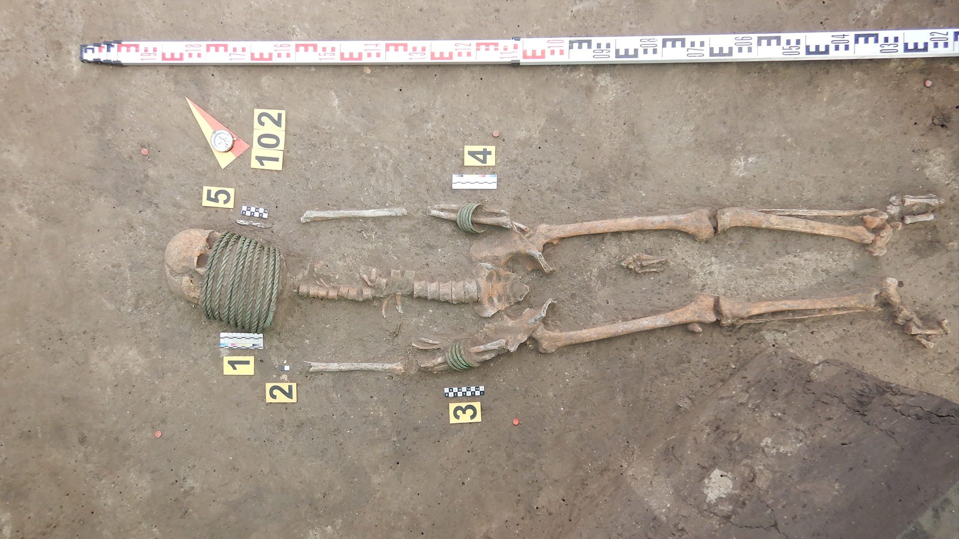 The skeleton of a woman who was buried with elaborate neck rings as well as rings around her arms.