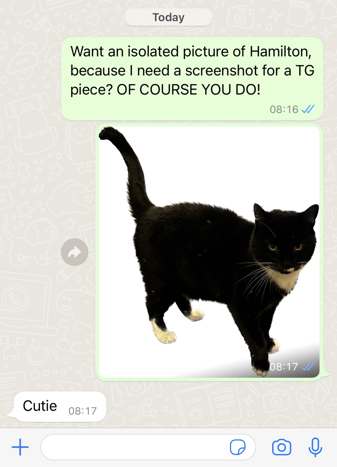 How to isolate, copy and share subjects in iOS 16