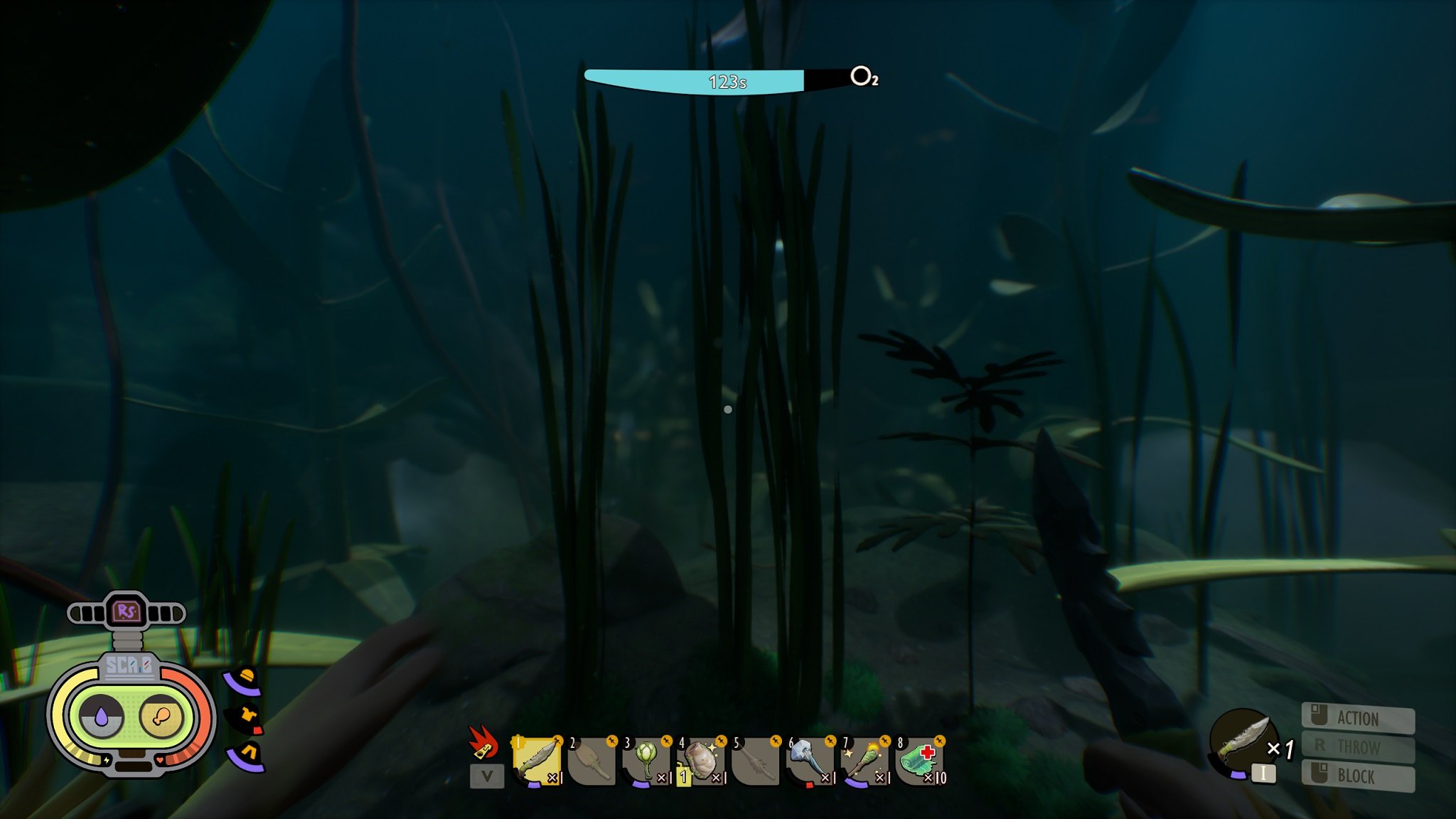 Grounded Koi Pond Eel Grass