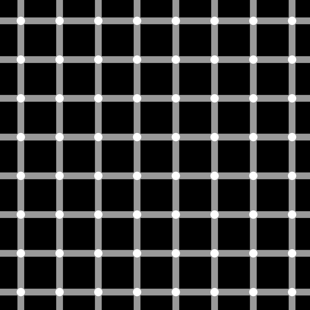 scintillating grid optical illusion