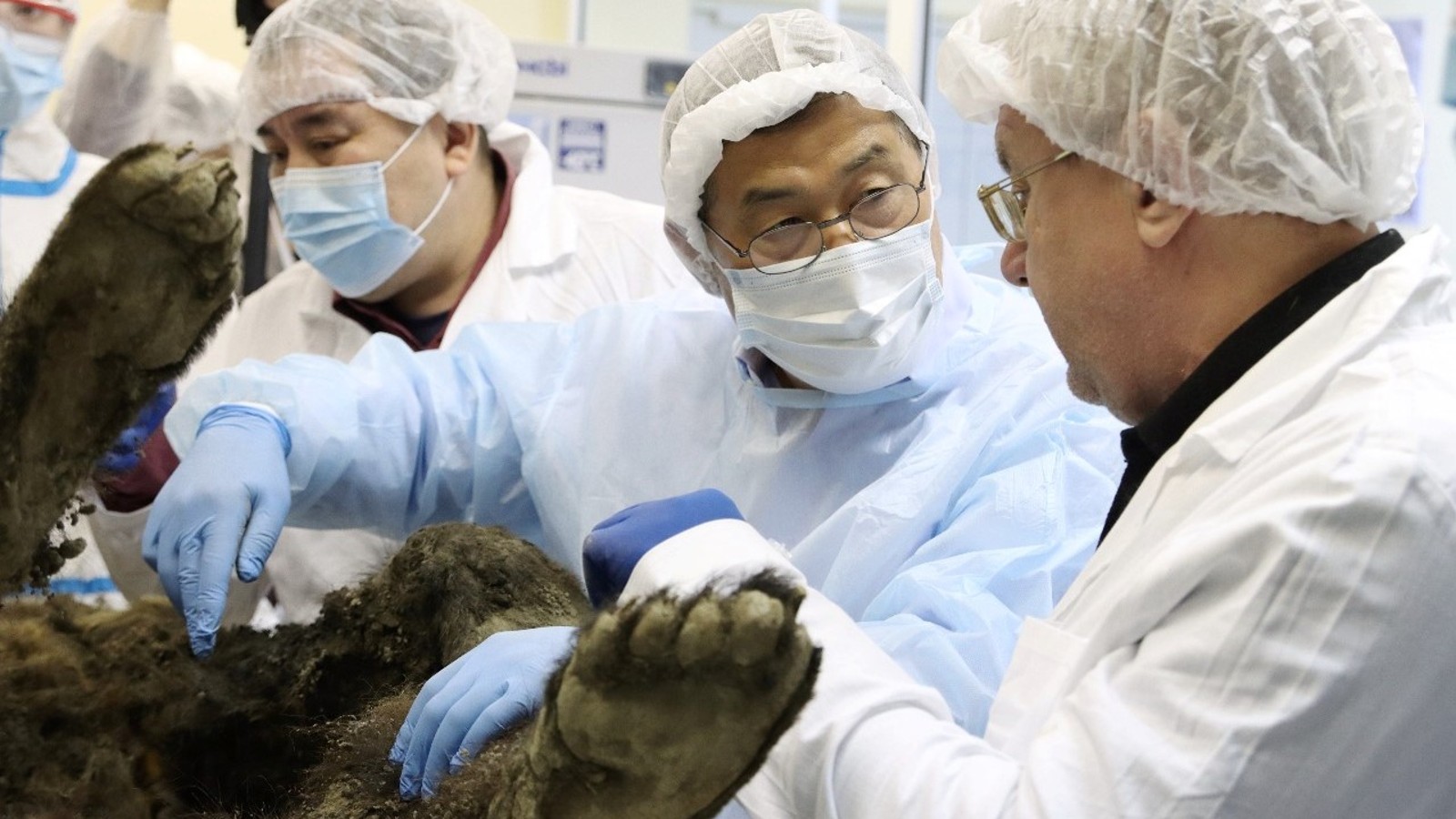 Researchers discuss heir findings.