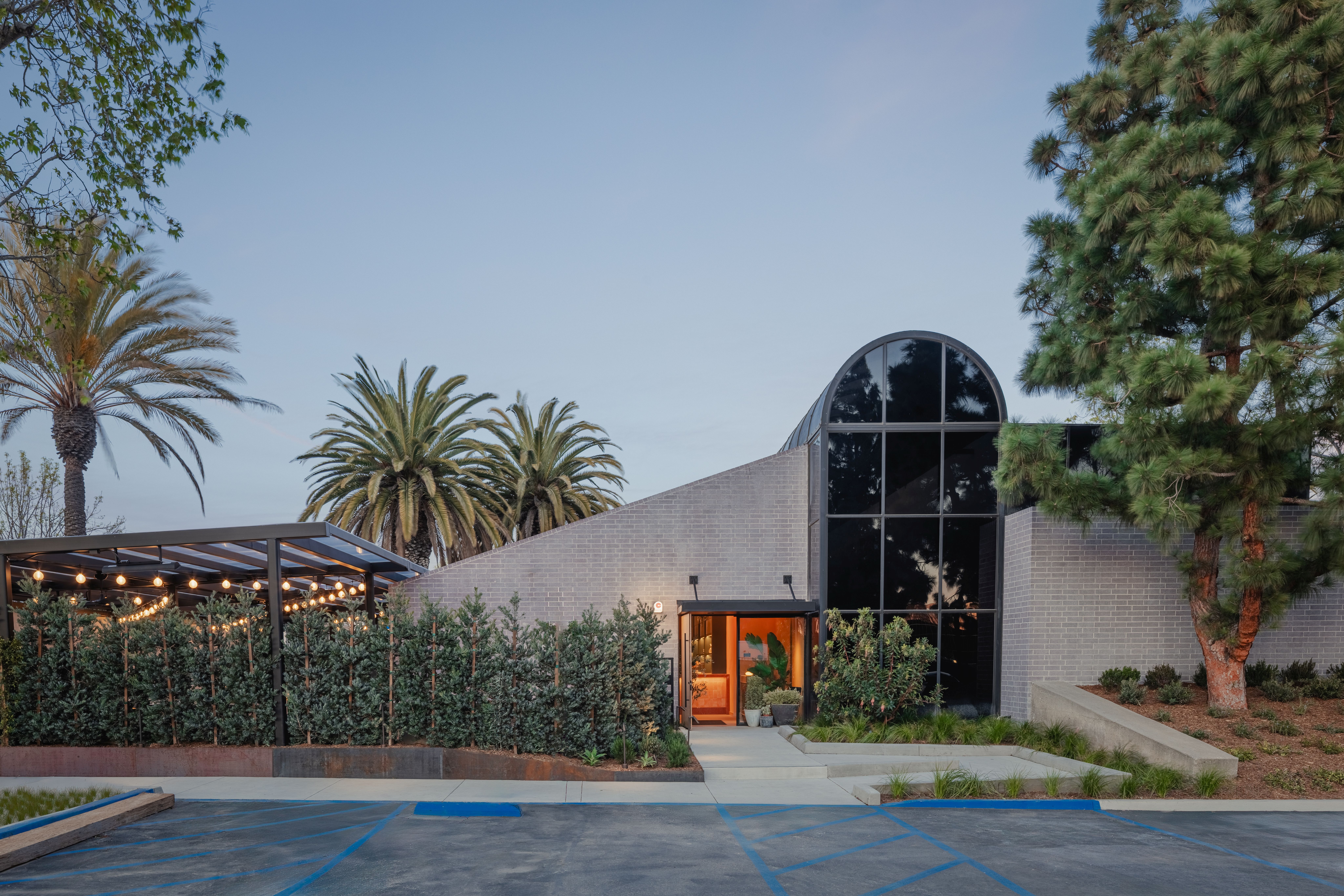 cosetta los angeles review