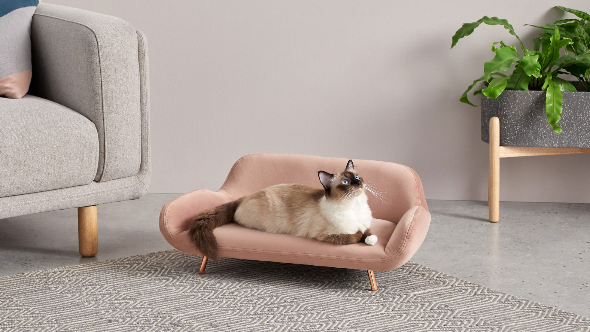 Moby Pet Sofa in pink, in living room with cat sitting on – pet buys for stylish homes