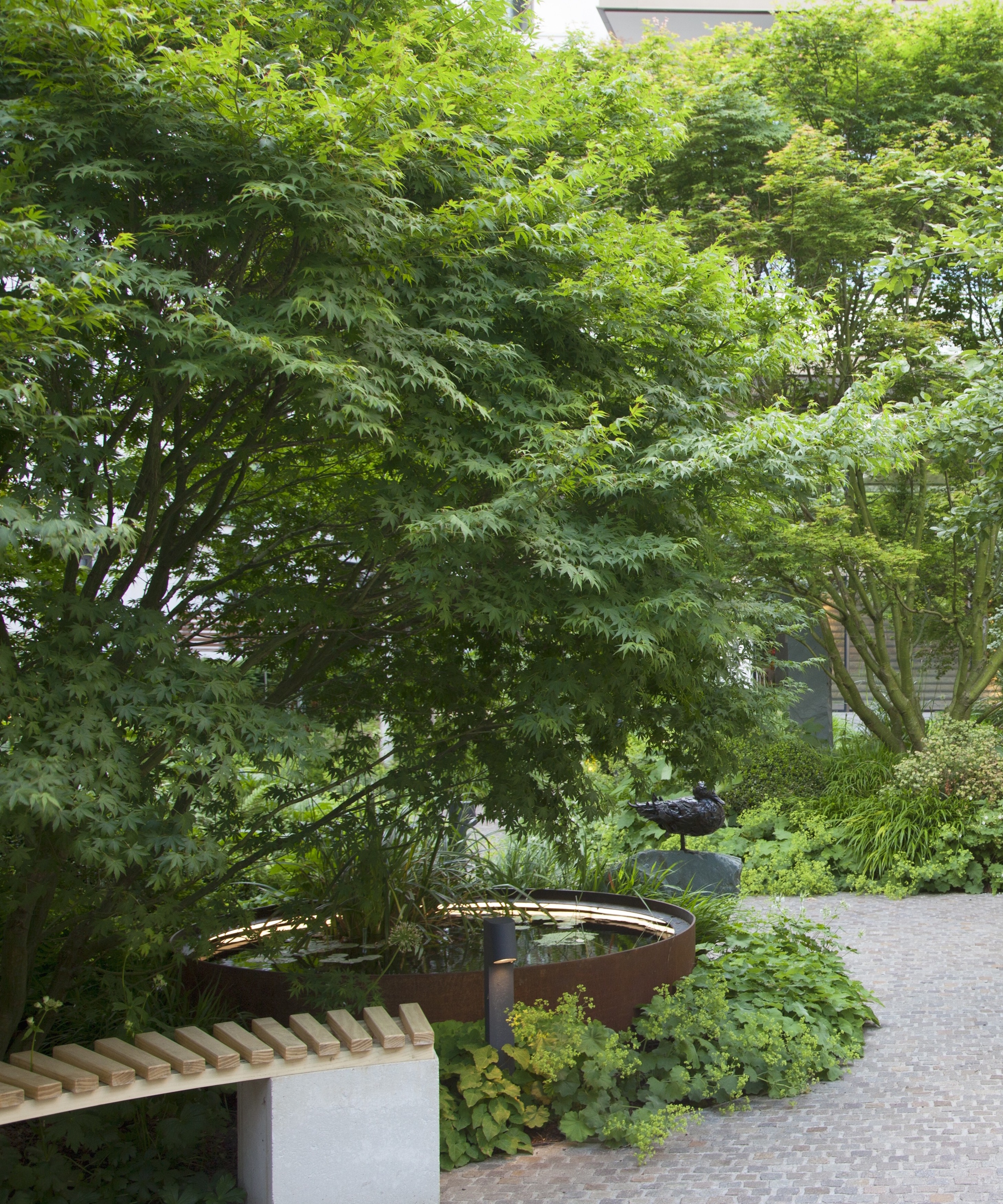 Paved seating area in a shady garden with lush, green planting