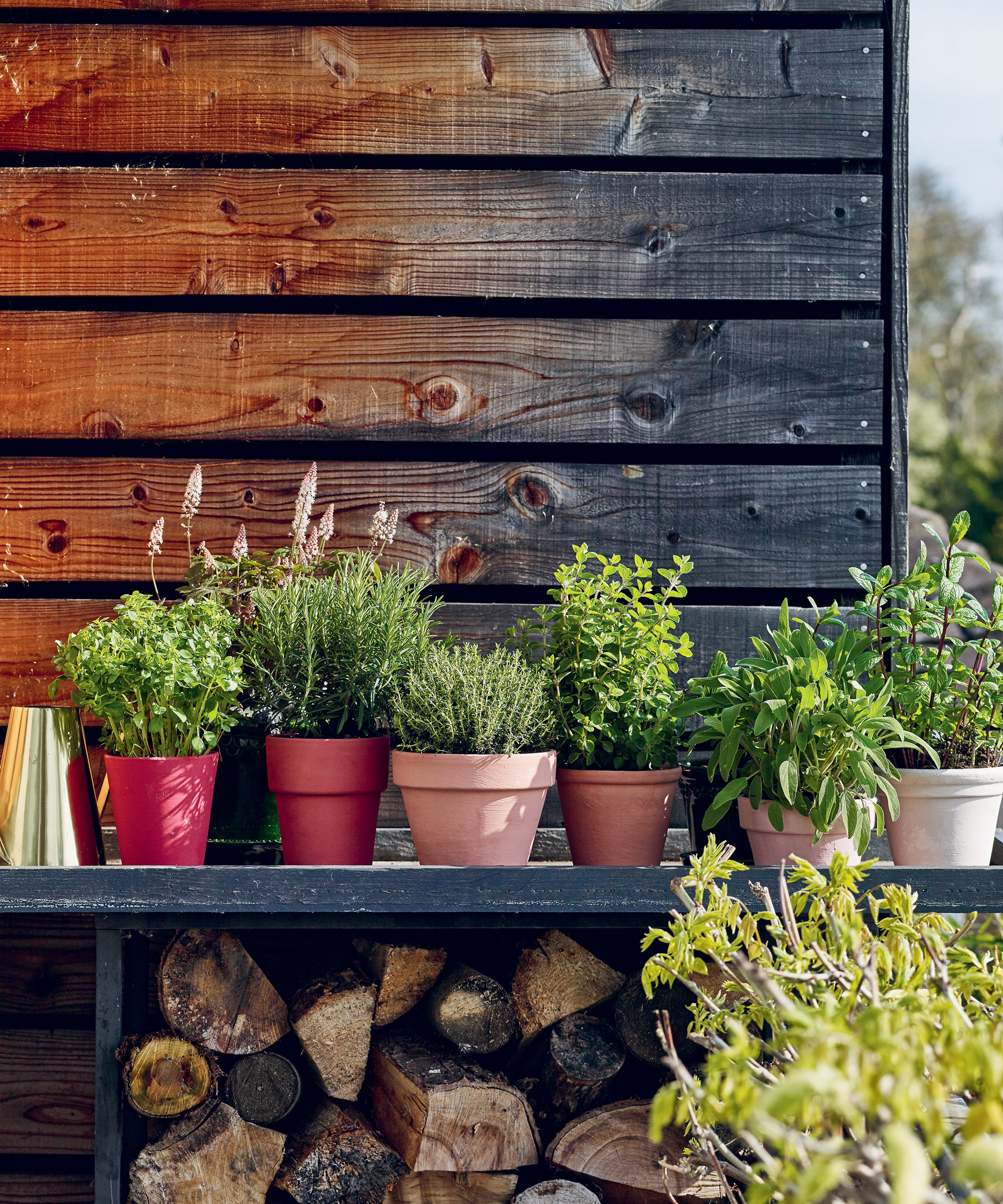Container-gardening-ideas