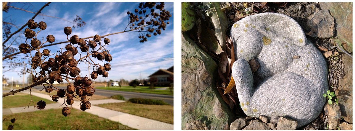 Lumia 1520 Photo Samples