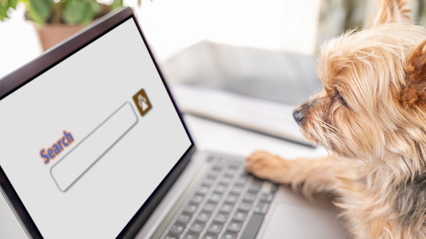 Dog using Google search on laptop