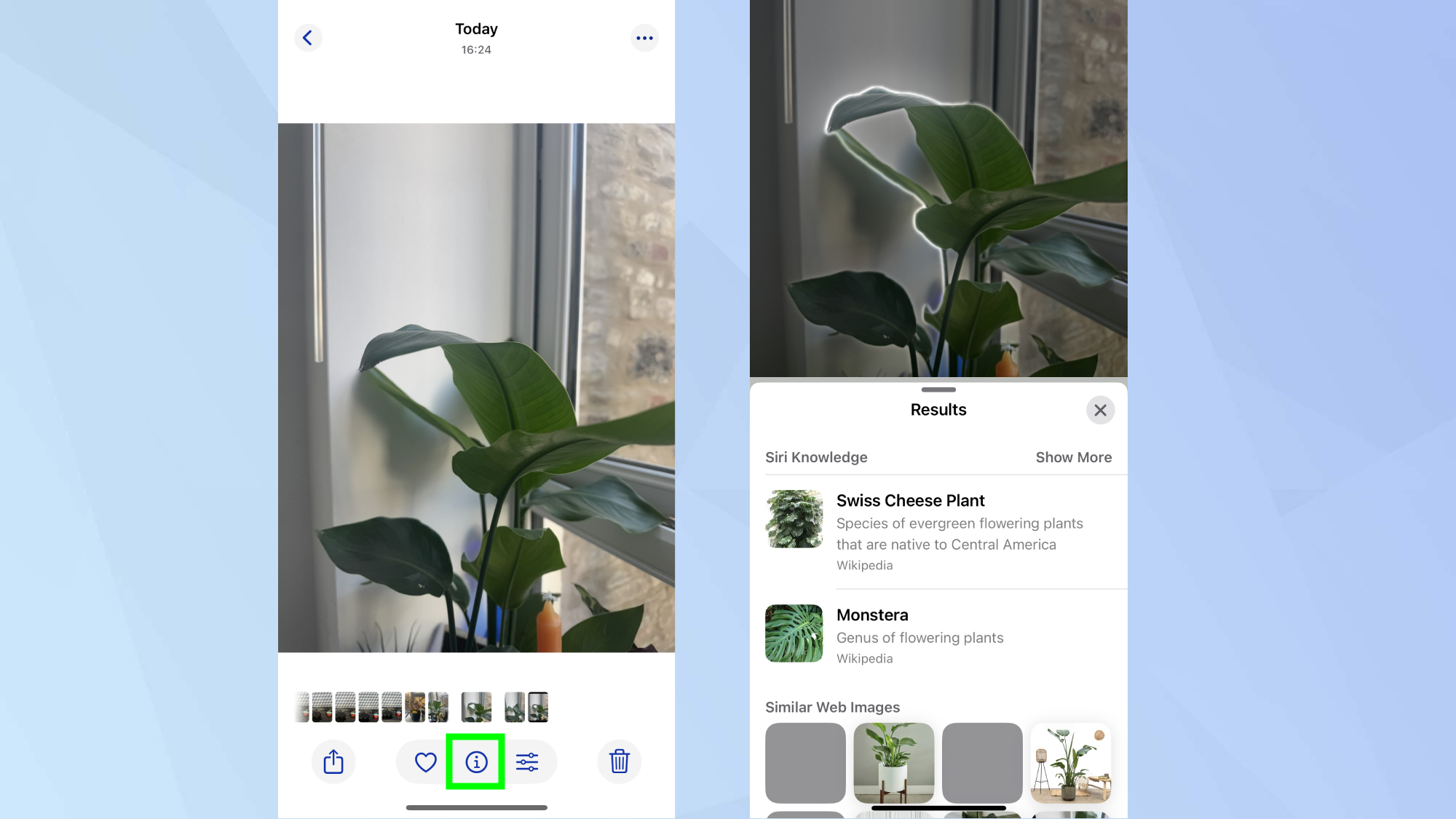 iPhone plant identifier