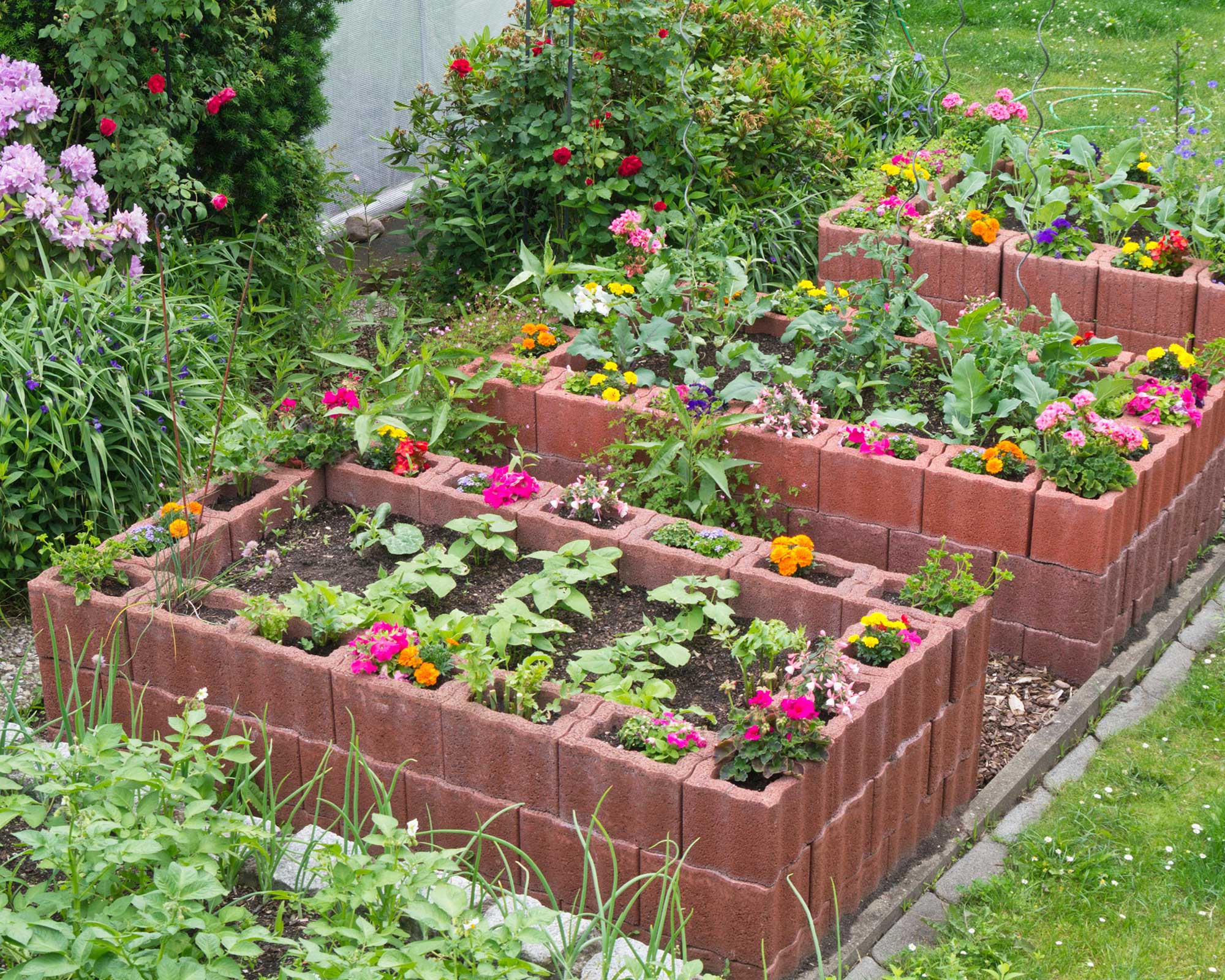 raised garden beds made from bricks