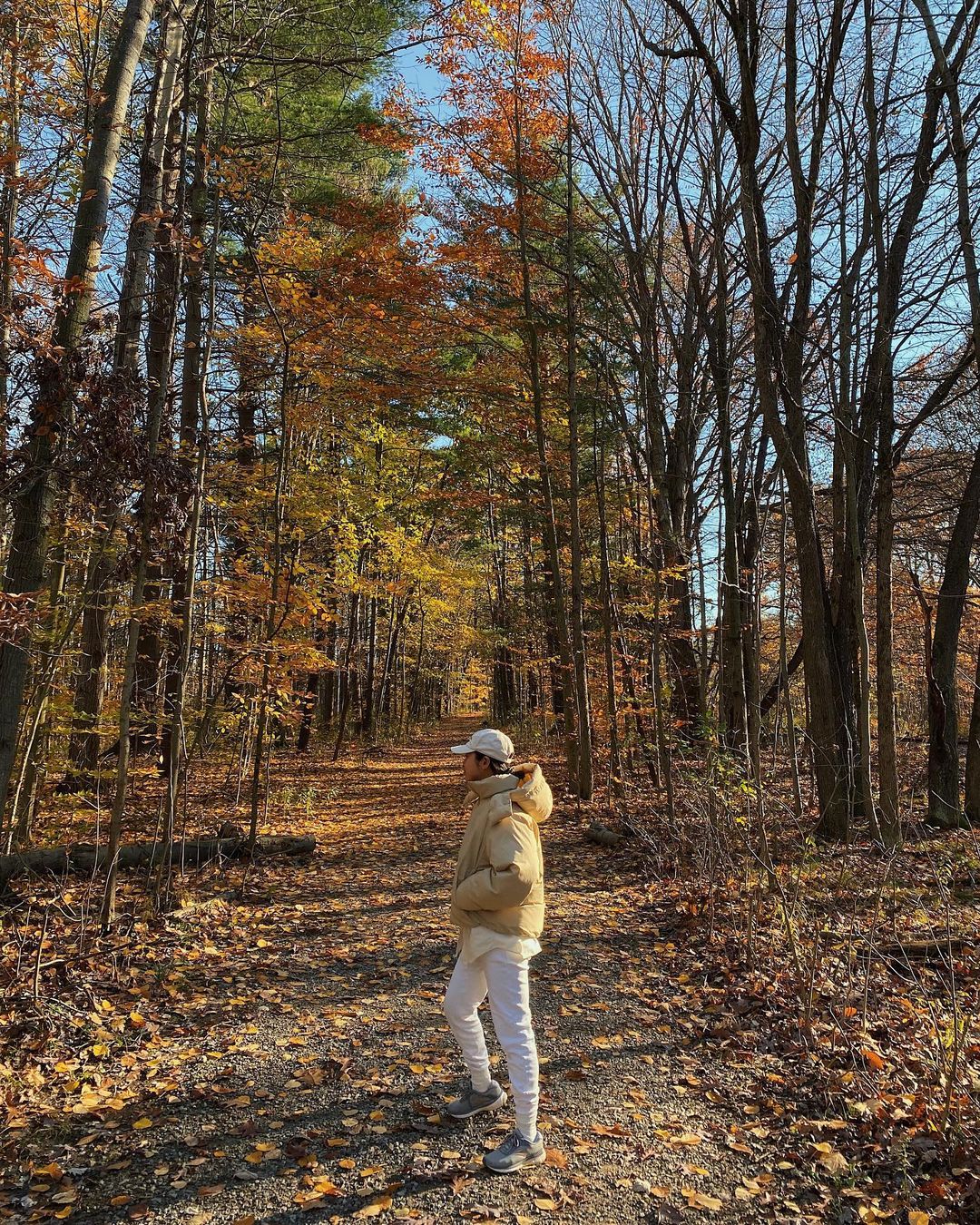 cabin-outfit-ideas-178487-1605234357470-main